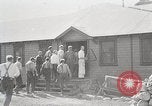 Image of Timber growing and logging California United States USA, 1931, second 9 stock footage video 65675025578