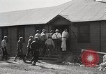 Image of Timber growing and logging California United States USA, 1931, second 12 stock footage video 65675025578