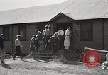 Image of Timber growing and logging California United States USA, 1931, second 13 stock footage video 65675025578