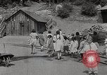 Image of Timber growing and logging California United States USA, 1931, second 16 stock footage video 65675025578