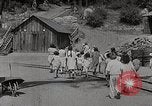 Image of Timber growing and logging California United States USA, 1931, second 18 stock footage video 65675025578