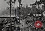 Image of Timber growing and logging California United States USA, 1931, second 19 stock footage video 65675025578