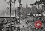 Image of Timber growing and logging California United States USA, 1931, second 21 stock footage video 65675025578