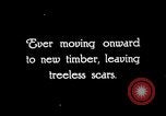Image of Timber growing and logging California United States USA, 1931, second 60 stock footage video 65675025578
