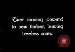 Image of Timber growing and logging California United States USA, 1931, second 62 stock footage video 65675025578