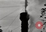 Immagine di Coltivazione di legname e il logging California United States USA, 1931, secondo 53 filmato di repertorio 65675025580
