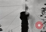 Immagine di Coltivazione di legname e il logging California United States USA, 1931, secondo 54 filmato di repertorio 65675025580