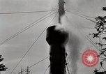 Immagine di Coltivazione di legname e il logging California United States USA, 1931, secondo 55 filmato di repertorio 65675025580