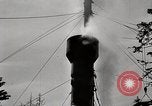 Immagine di Coltivazione di legname e il logging California United States USA, 1931, secondo 56 filmato di repertorio 65675025580