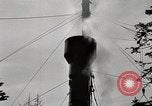 Immagine di Coltivazione di legname e il logging California United States USA, 1931, secondo 57 filmato di repertorio 65675025580