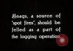 Immagine di Coltivazione di legname e il logging California United States USA, 1931, secondo 3 filmato di repertorio 65675025581