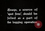 Immagine di Coltivazione di legname e il logging California United States USA, 1931, secondo 5 filmato di repertorio 65675025581