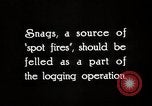 Immagine di Coltivazione di legname e il logging California United States USA, 1931, secondo 6 filmato di repertorio 65675025581