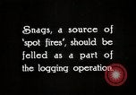 Immagine di Coltivazione di legname e il logging California United States USA, 1931, secondo 8 filmato di repertorio 65675025581
