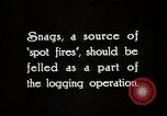 Immagine di Coltivazione di legname e il logging California United States USA, 1931, secondo 10 filmato di repertorio 65675025581