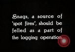 Immagine di Coltivazione di legname e il logging California United States USA, 1931, secondo 11 filmato di repertorio 65675025581