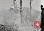 Immagine di Coltivazione di legname e il logging California United States USA, 1931, secondo 18 filmato di repertorio 65675025581