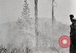 Immagine di Coltivazione di legname e il logging California United States USA, 1931, secondo 19 filmato di repertorio 65675025581