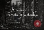 Immagine di Importanza della foresta Los Angeles California USA, 1935, secondo 18 filmato di repertorio 65675025582