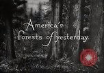 Immagine di Importanza della foresta Los Angeles California USA, 1935, secondo 19 filmato di repertorio 65675025582