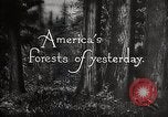 Immagine di Importanza della foresta Los Angeles California USA, 1935, secondo 20 filmato di repertorio 65675025582