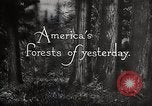 Immagine di Importanza della foresta Los Angeles California USA, 1935, secondo 21 filmato di repertorio 65675025582