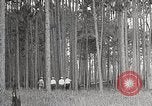 Immagine di Importanza della foresta Los Angeles California USA, 1935, secondo 25 filmato di repertorio 65675025582
