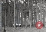 Immagine di Importanza della foresta Los Angeles California USA, 1935, secondo 26 filmato di repertorio 65675025582