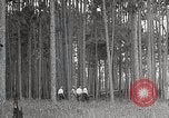 Immagine di Importanza della foresta Los Angeles California USA, 1935, secondo 28 filmato di repertorio 65675025582