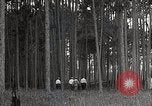 Immagine di Importanza della foresta Los Angeles California USA, 1935, secondo 29 filmato di repertorio 65675025582
