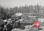 Immagine di Importanza della foresta Los Angeles California USA, 1935, secondo 56 filmato di repertorio 65675025582