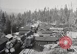 Immagine di Importanza della foresta Los Angeles California USA, 1935, secondo 61 filmato di repertorio 65675025582