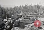 Immagine di Importanza della foresta Los Angeles California USA, 1935, secondo 62 filmato di repertorio 65675025582