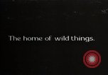 Image of USA forest scenes early 1900s United States USA, 1925, second 1 stock footage video 65675025583