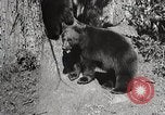 Image of USA forest scenes early 1900s United States USA, 1925, second 14 stock footage video 65675025583