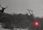 Image of USA forest scenes early 1900s United States USA, 1925, second 34 stock footage video 65675025583