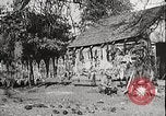 Image of USA forest scenes early 1900s United States USA, 1925, second 45 stock footage video 65675025583