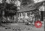 Image of USA forest scenes early 1900s United States USA, 1925, second 46 stock footage video 65675025583