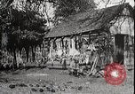 Image of USA forest scenes early 1900s United States USA, 1925, second 47 stock footage video 65675025583