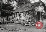 Image of USA forest scenes early 1900s United States USA, 1925, second 48 stock footage video 65675025583