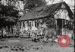 Image of USA forest scenes early 1900s United States USA, 1925, second 49 stock footage video 65675025583