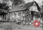 Image of USA forest scenes early 1900s United States USA, 1925, second 50 stock footage video 65675025583