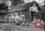 Image of USA forest scenes early 1900s United States USA, 1925, second 51 stock footage video 65675025583