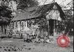 Image of USA forest scenes early 1900s United States USA, 1925, second 52 stock footage video 65675025583