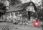 Image of USA forest scenes early 1900s United States USA, 1925, second 53 stock footage video 65675025583