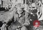 Image of USA forest scenes early 1900s United States USA, 1925, second 54 stock footage video 65675025583