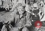 Image of USA forest scenes early 1900s United States USA, 1925, second 56 stock footage video 65675025583