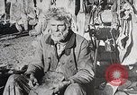 Image of USA forest scenes early 1900s United States USA, 1925, second 57 stock footage video 65675025583