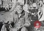 Image of USA forest scenes early 1900s United States USA, 1925, second 58 stock footage video 65675025583