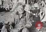 Image of USA forest scenes early 1900s United States USA, 1925, second 59 stock footage video 65675025583
